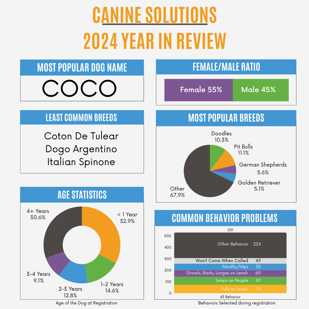 Canine Solutions 2024 year in review dog training statistics