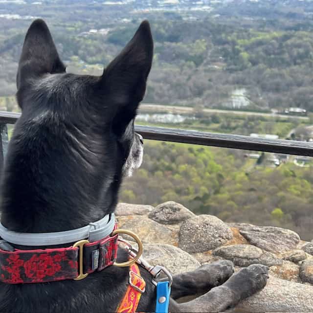 Deja Overlook Mountain Rock City Gardens