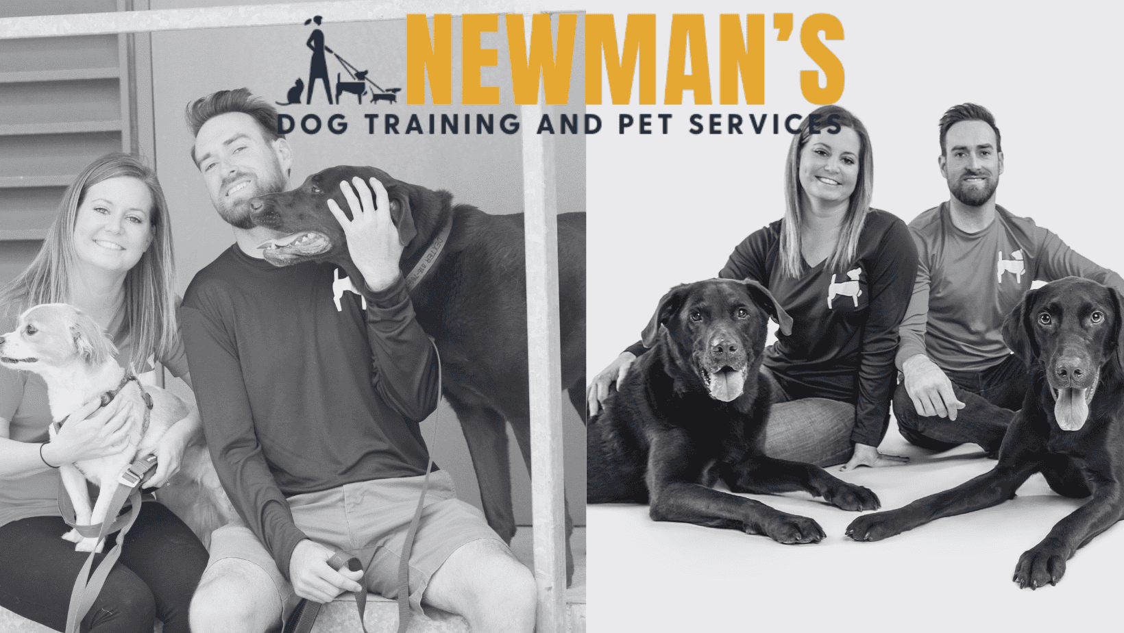 Newmans Dog Training