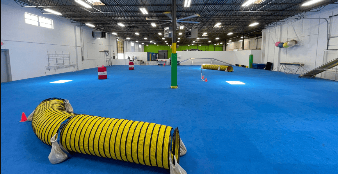 The Dogs Spot dog training facility kansas city