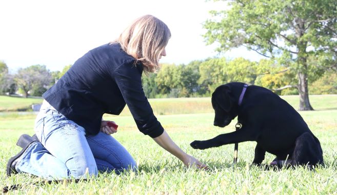 Emily Lures Lab Crop Resize