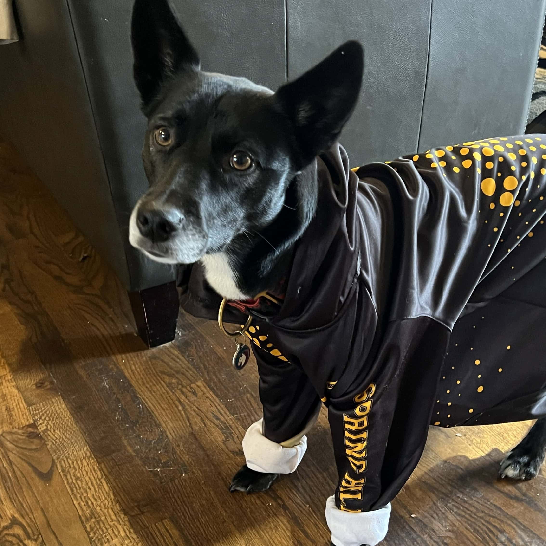 Deja In Shbjj Hoodie